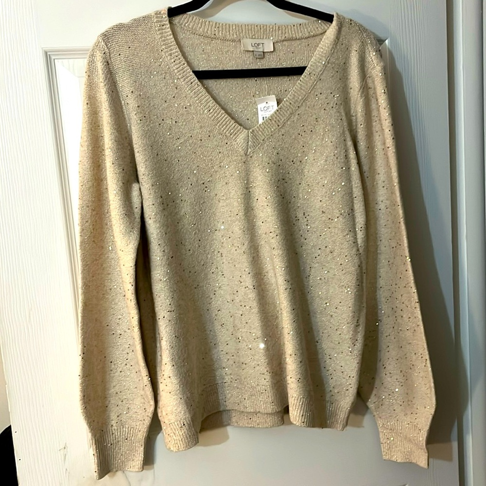 NWT Loft Sparkle Sweater Medium